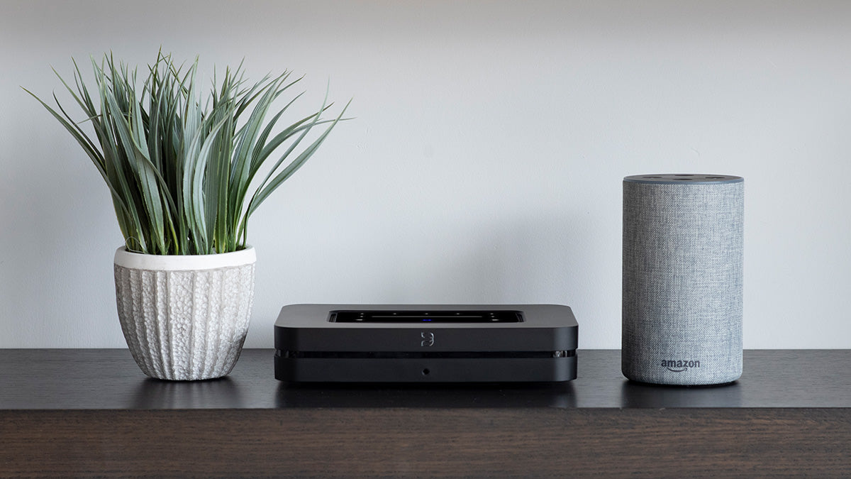Audio Advisor