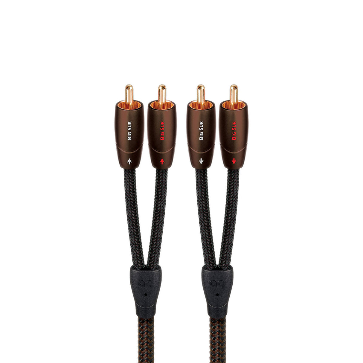 Audio Advisor