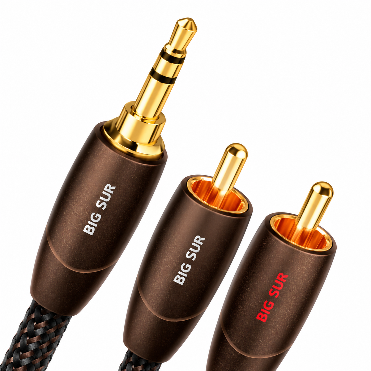 Audio Advisor
