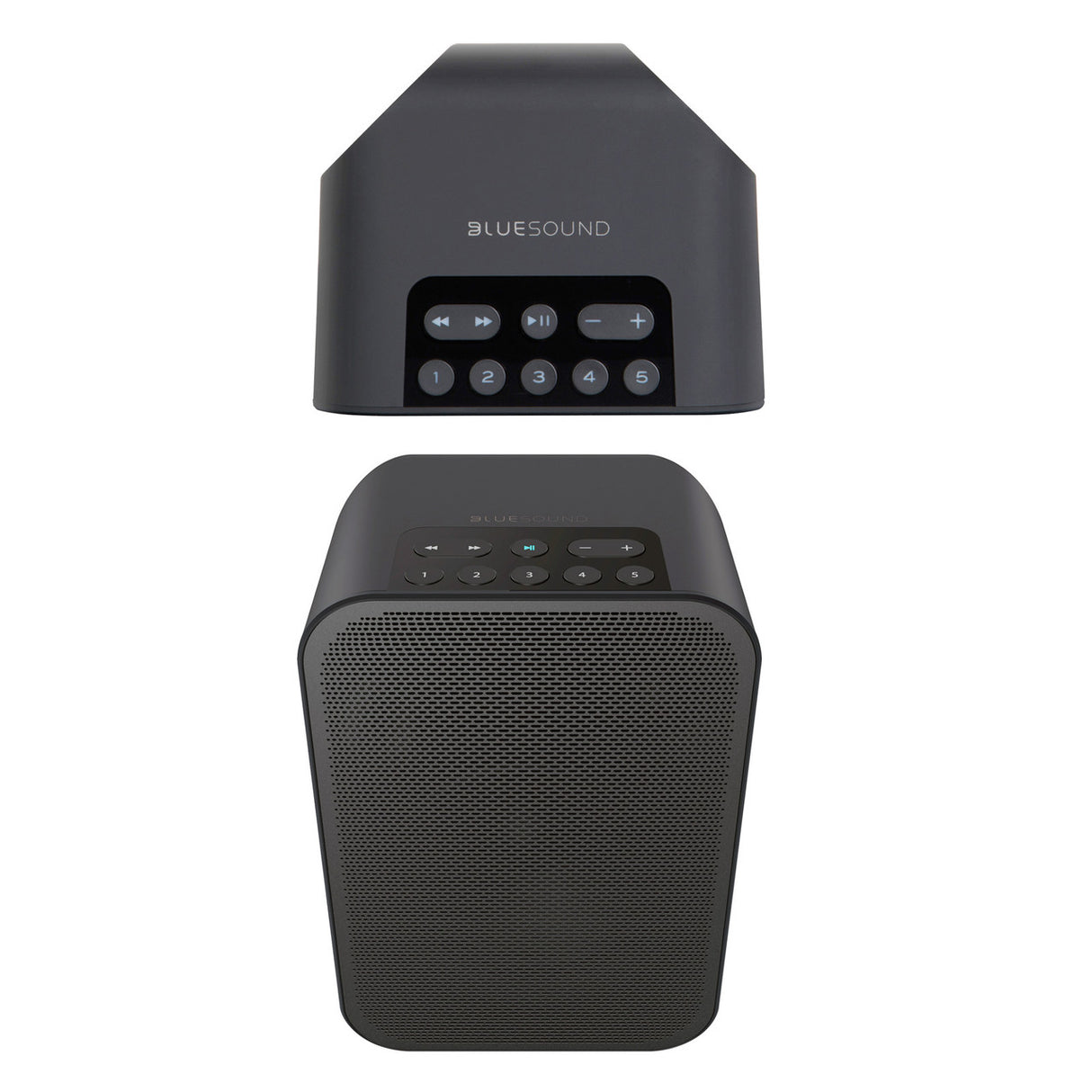 Audio Advisor