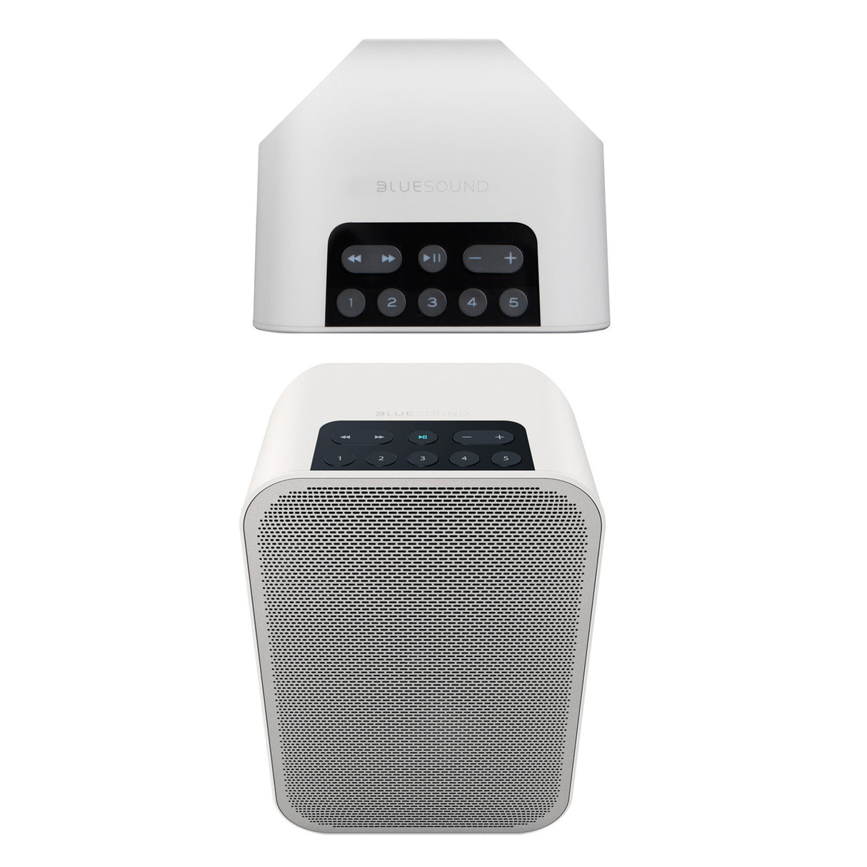 Audio Advisor