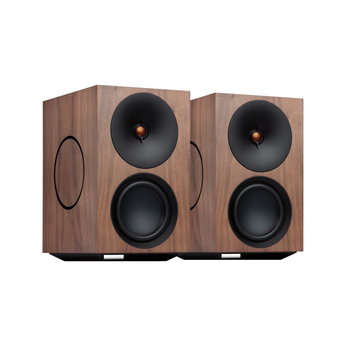 Audio Advisor