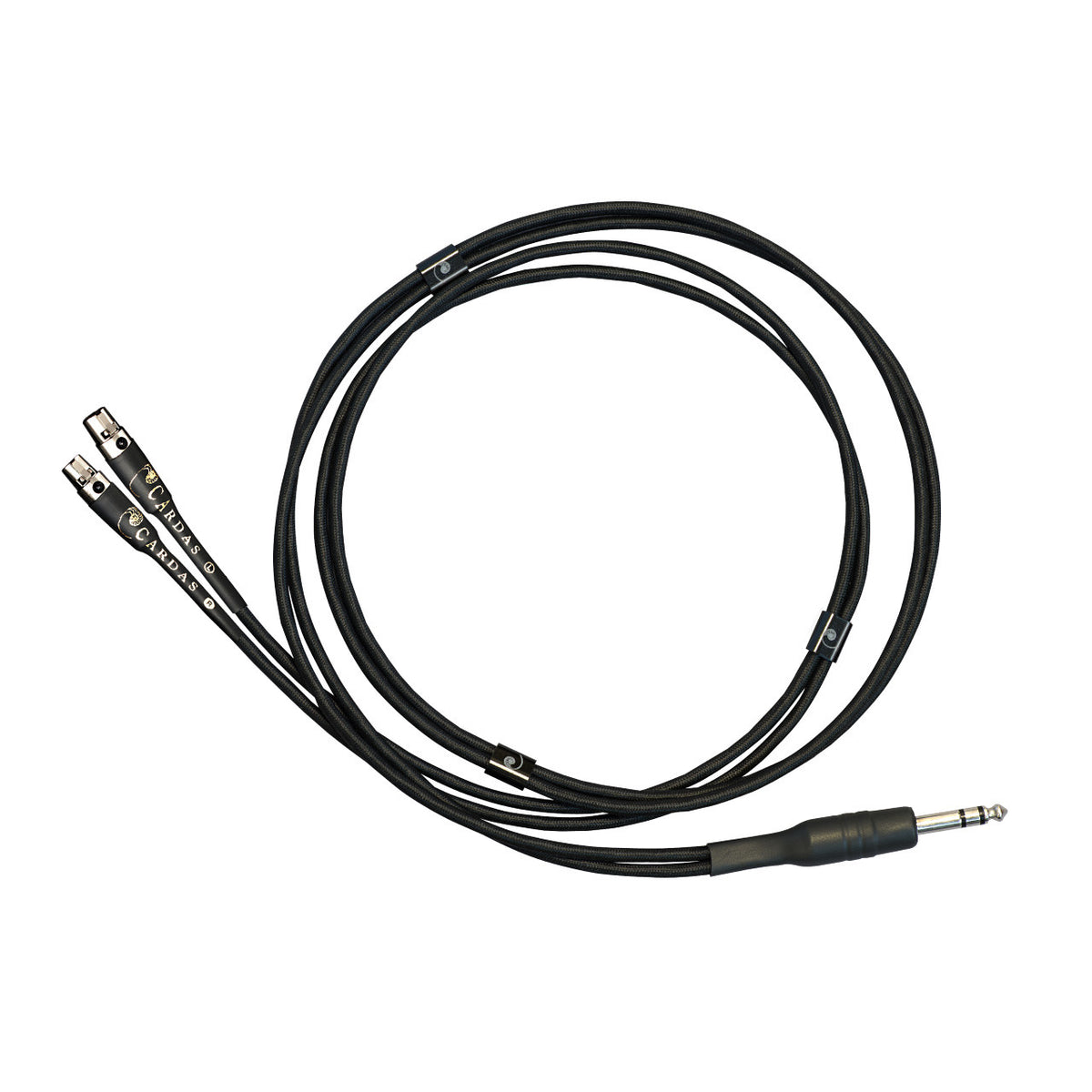 Audio Advisor
