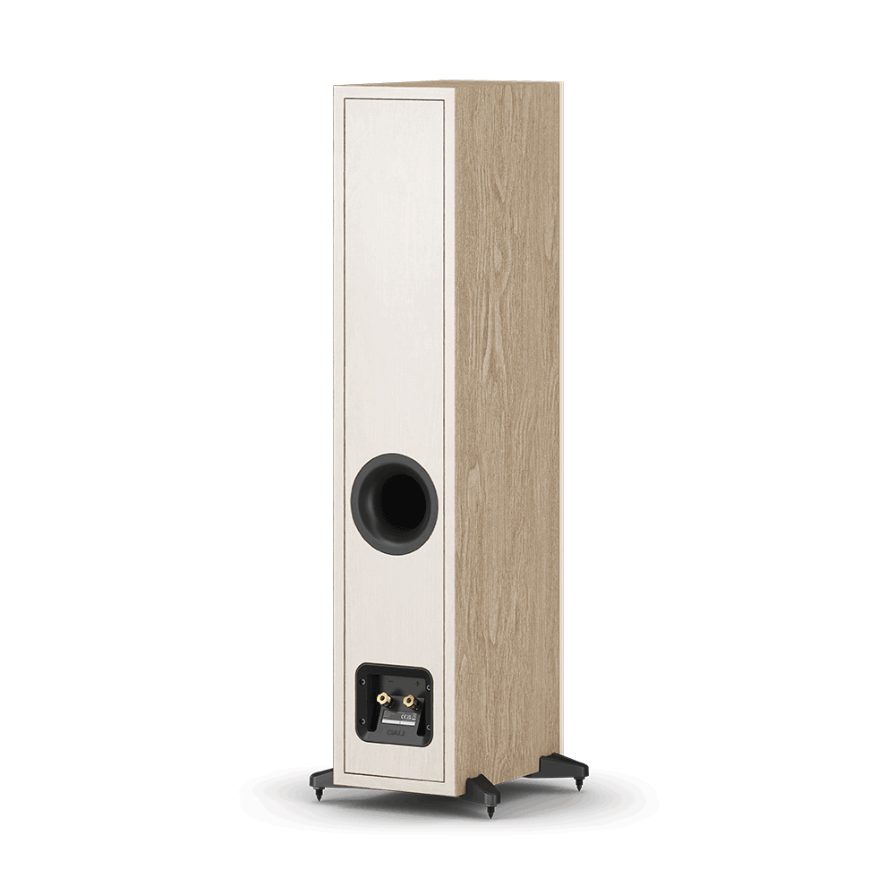 Audio Advisor