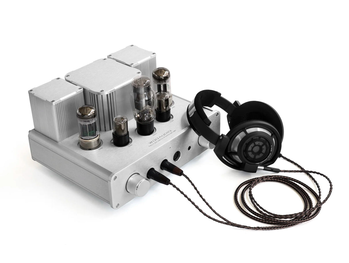 Audio Advisor