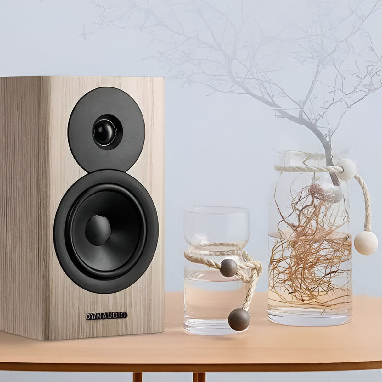 Audio Advisor