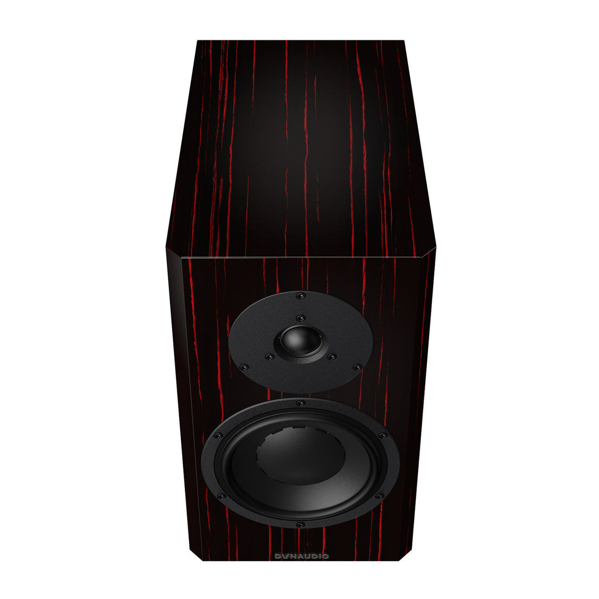 Audio Advisor