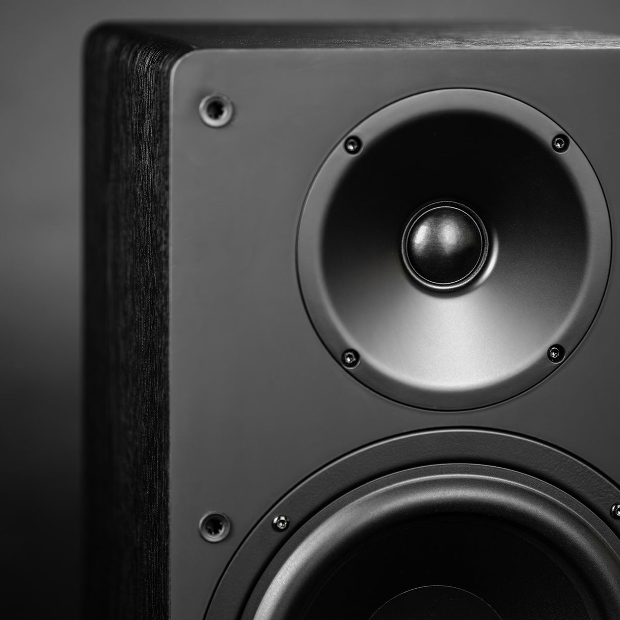 Audio Advisor