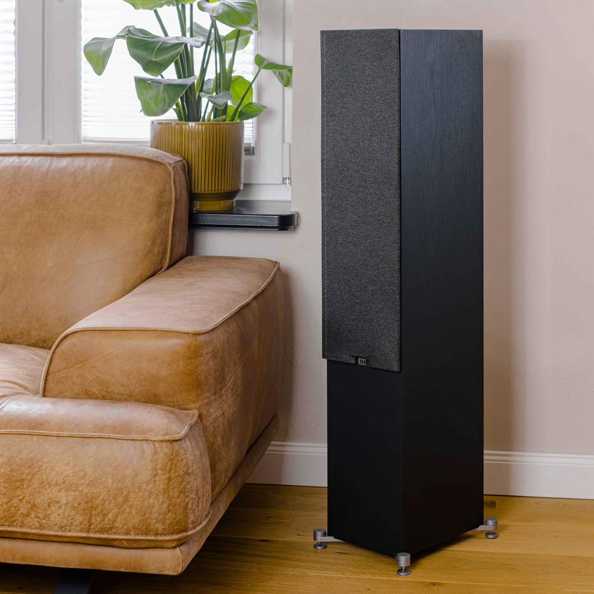 Audio Advisor