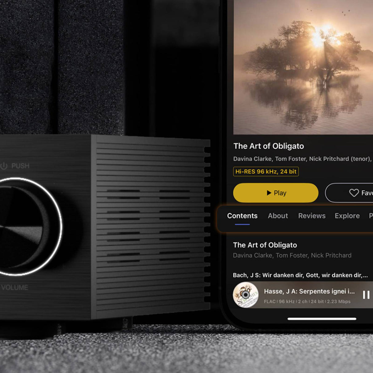 Audio Advisor