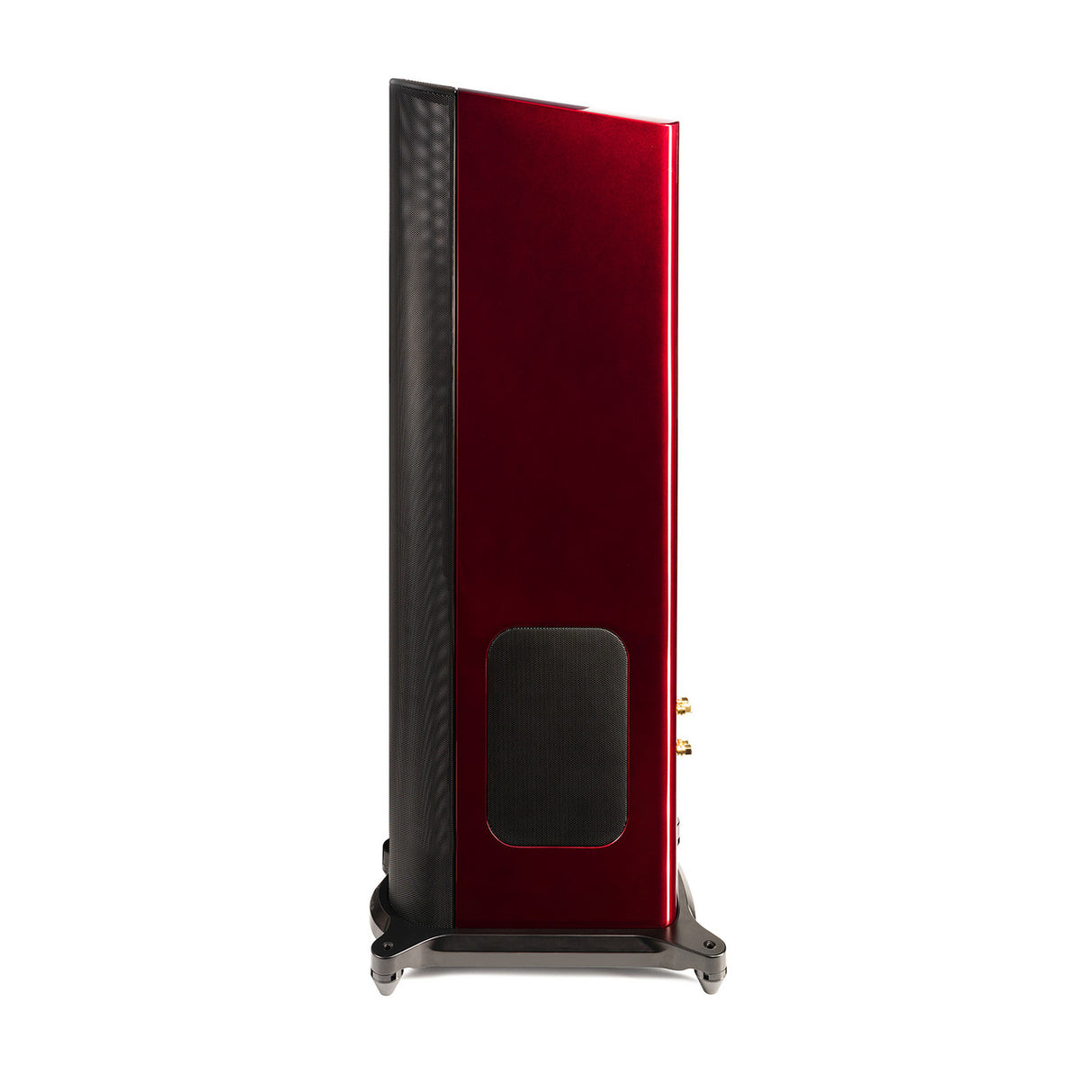 Audio Advisor