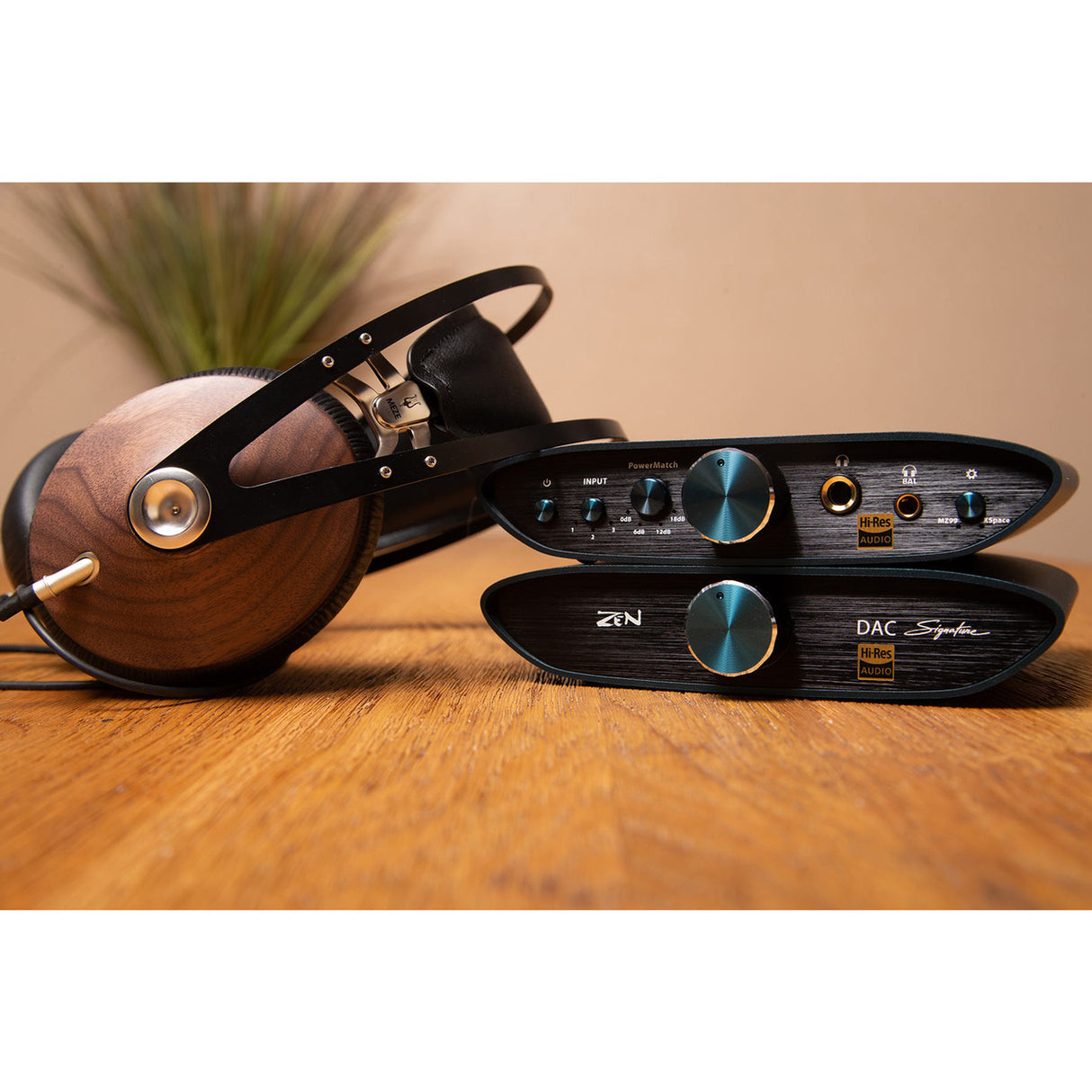 Audio Advisor