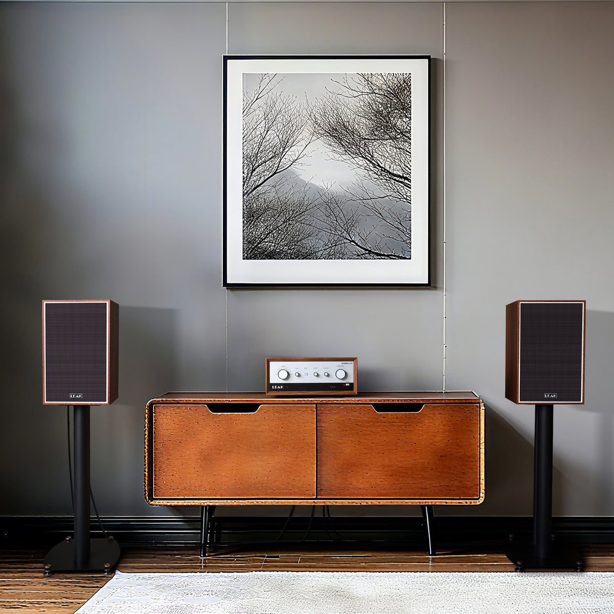 Audio Advisor