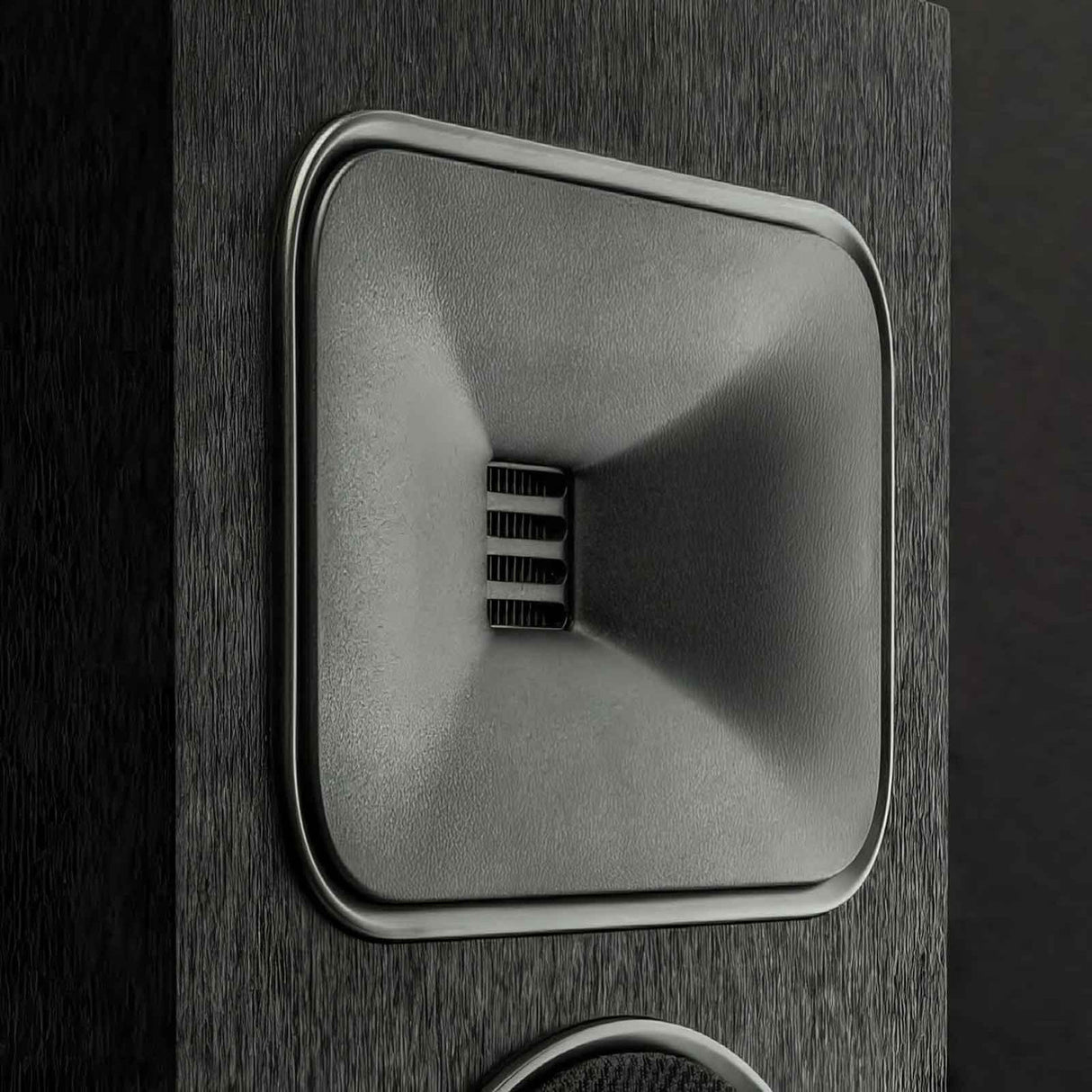 Audio Advisor