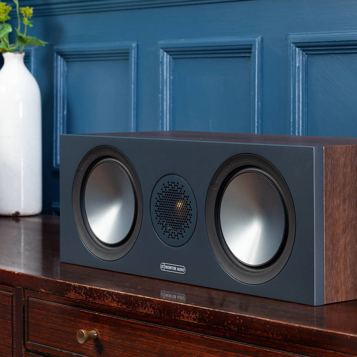 Audio Advisor