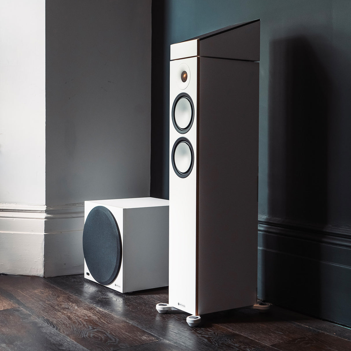 Audio Advisor