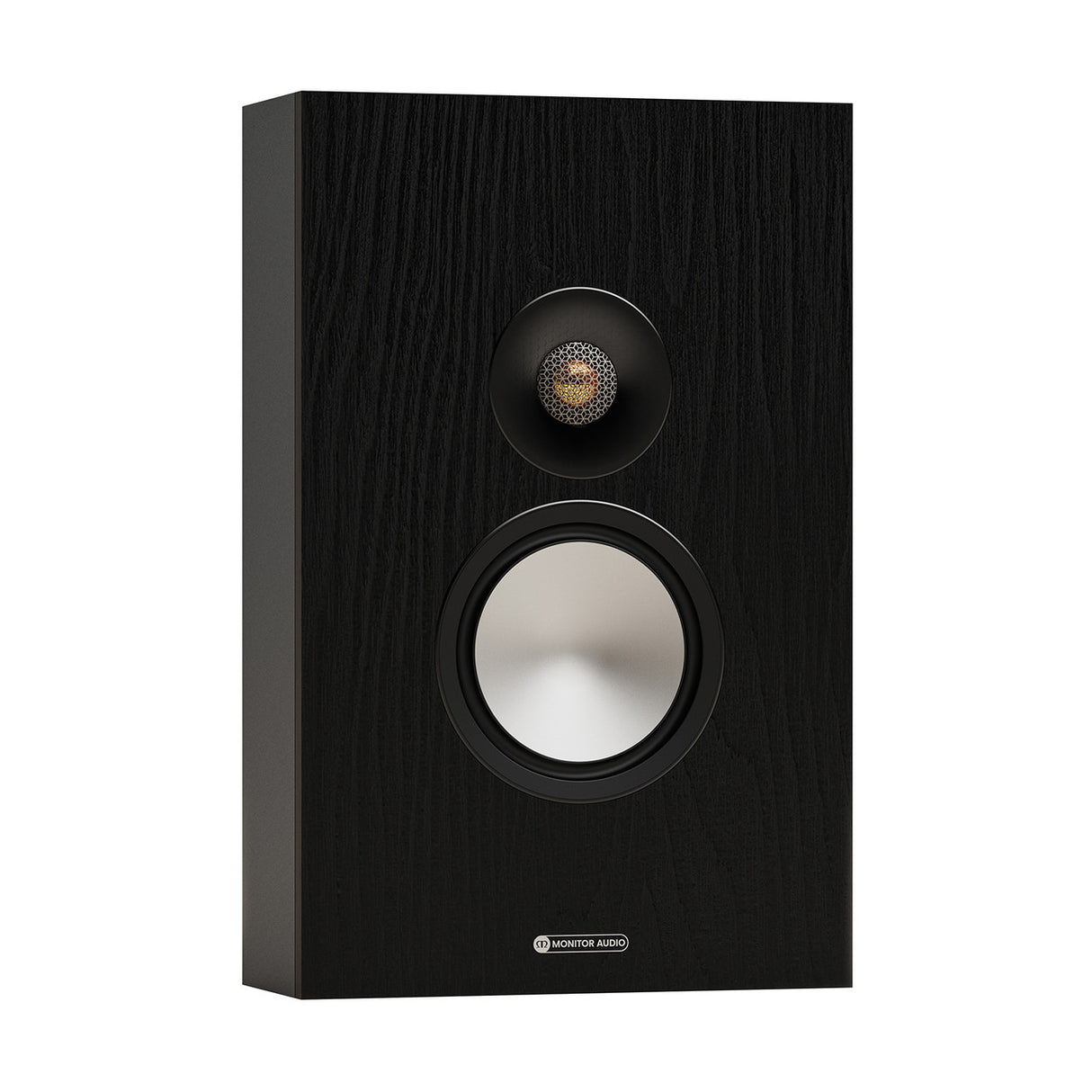 Audio Advisor