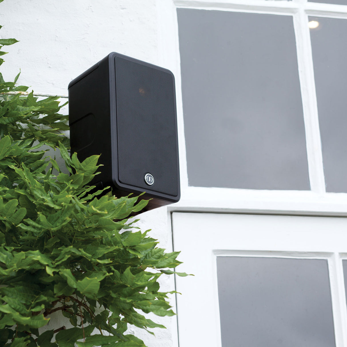 Audio Advisor