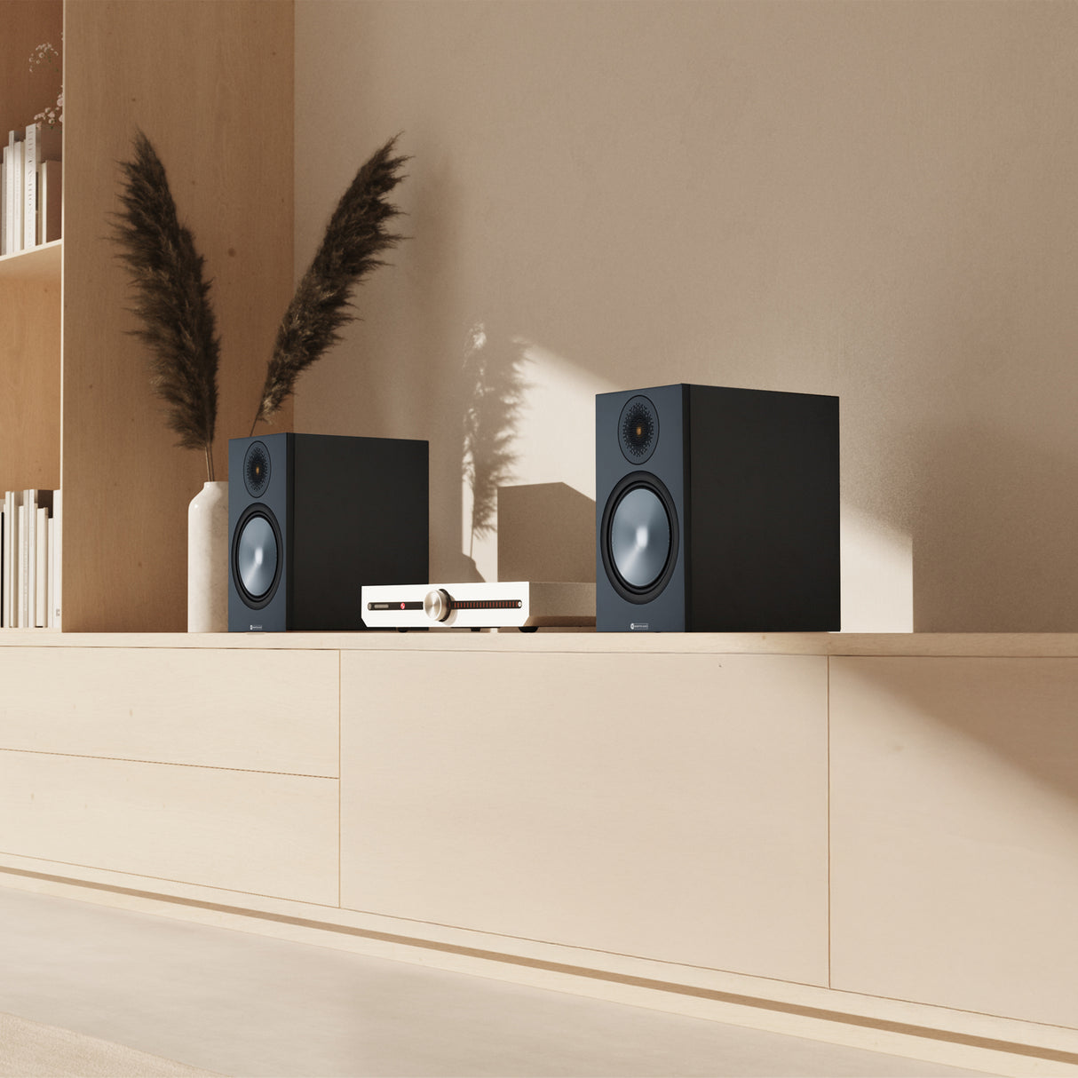 Audio Advisor