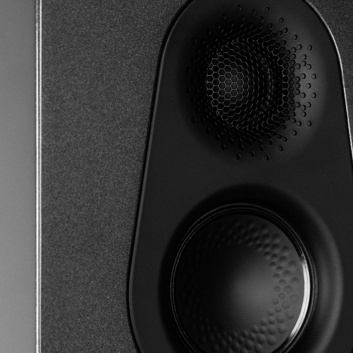 Audio Advisor