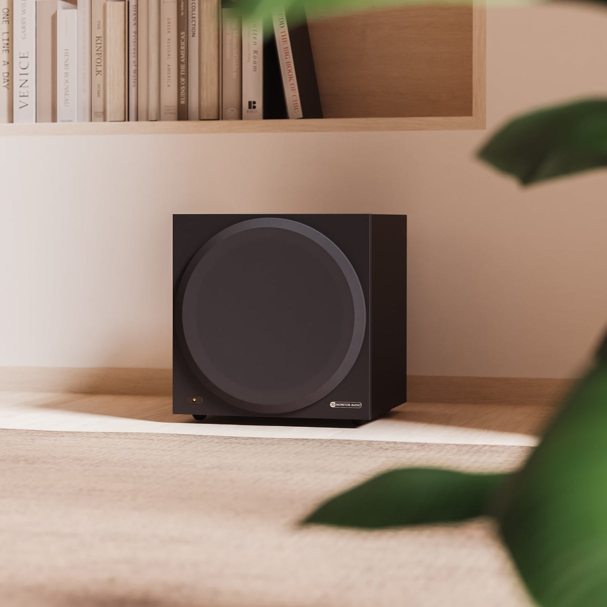 Audio Advisor