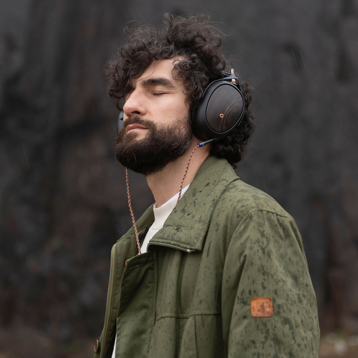 Audio Advisor