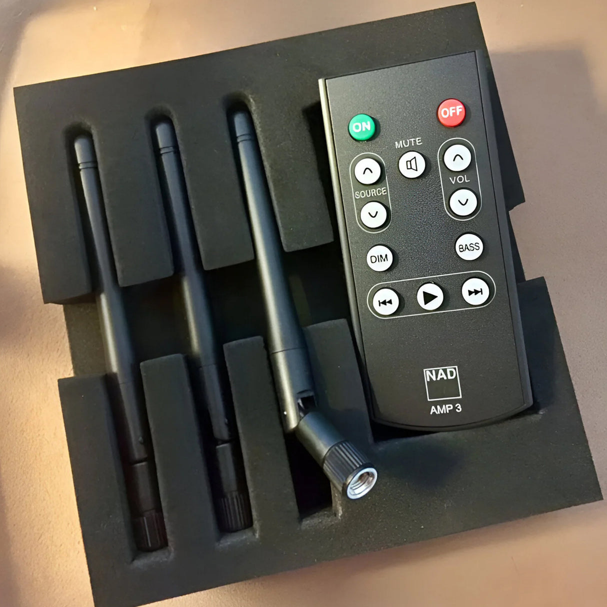 Audio Advisor