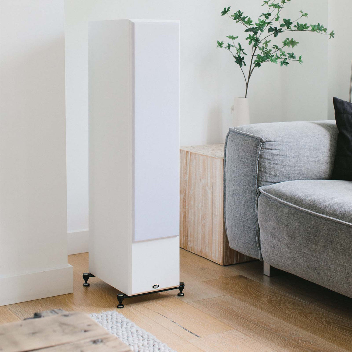 Audio Advisor