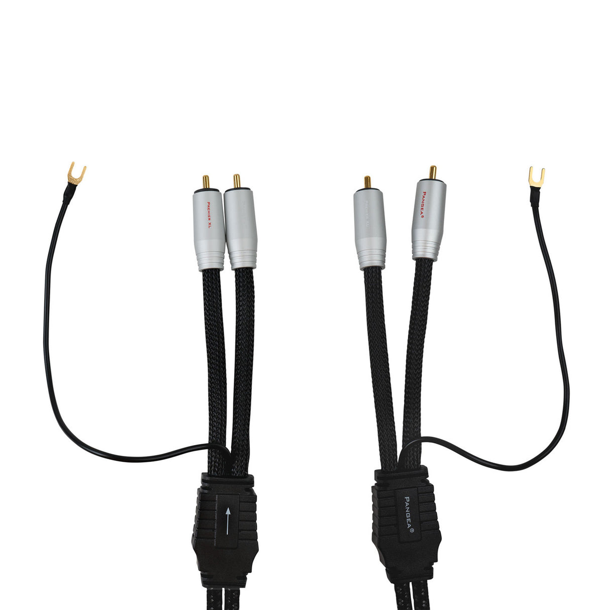 Audio Advisor