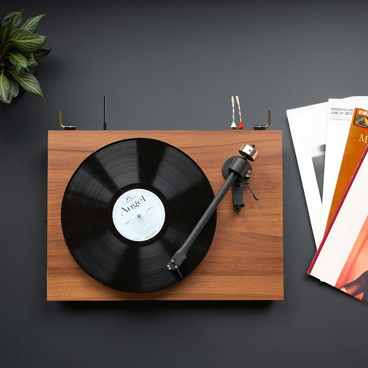 Audio Advisor