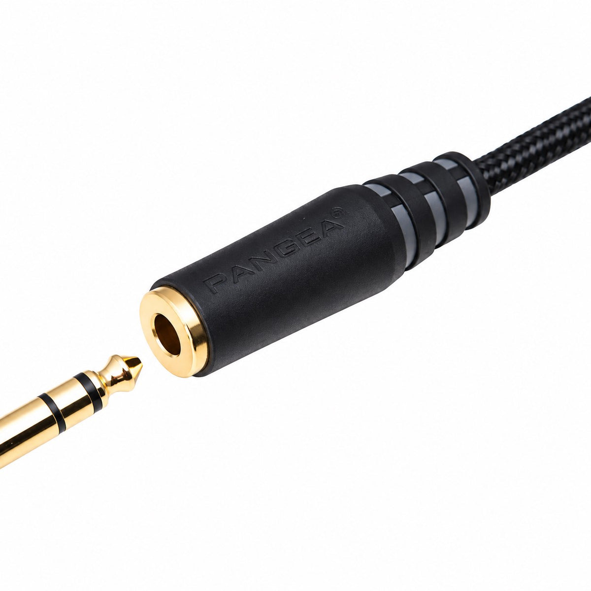 Audio Advisor