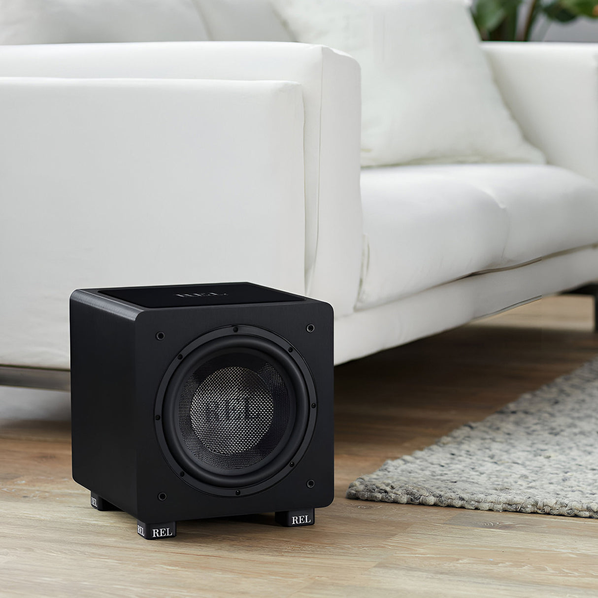 Audio Advisor