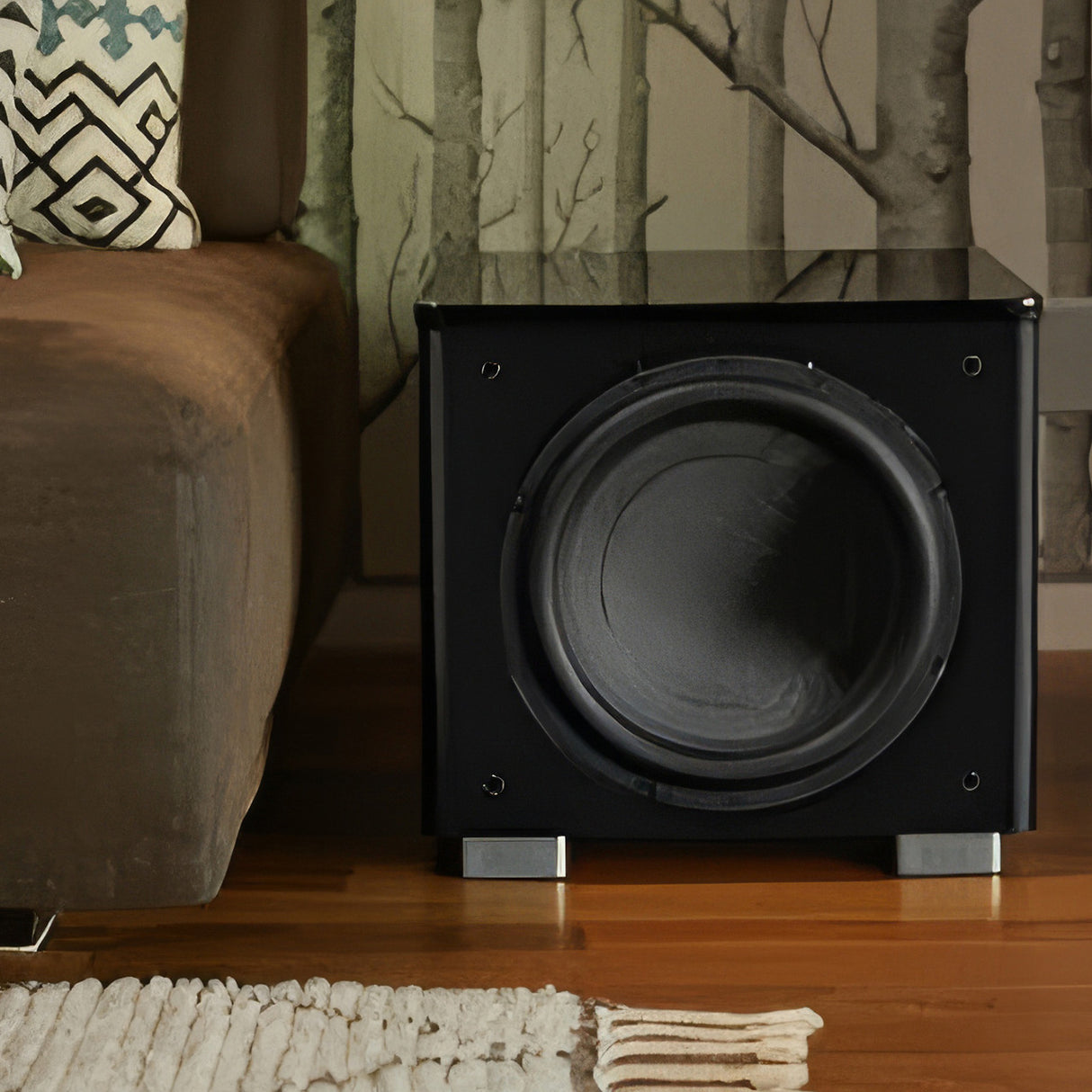 Audio Advisor