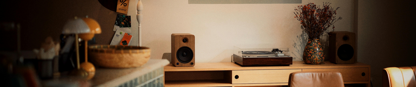 Audio Advisor