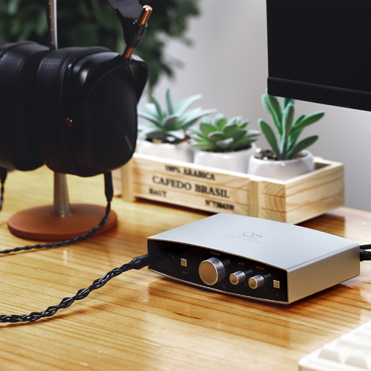 Audio Advisor