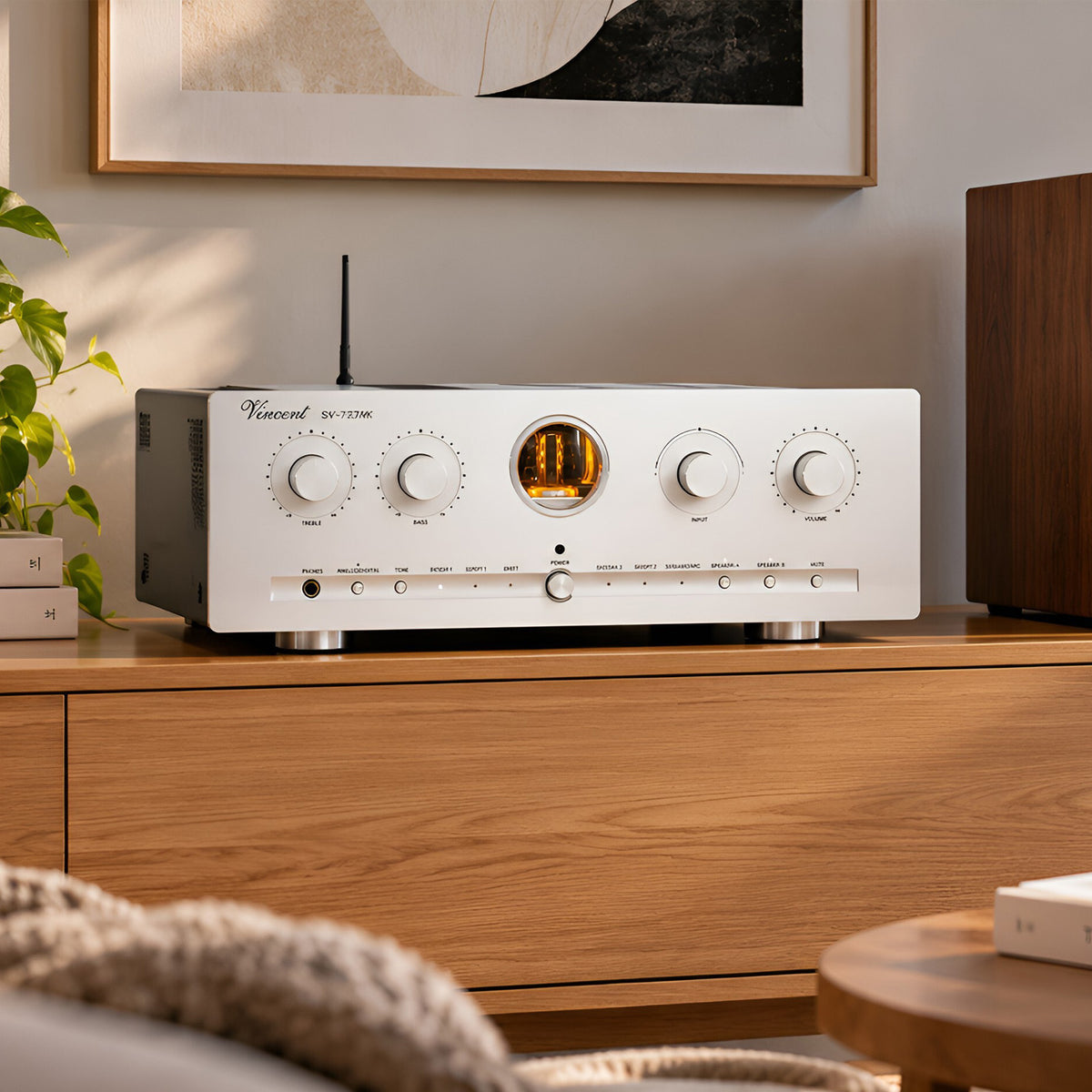 Audio Advisor