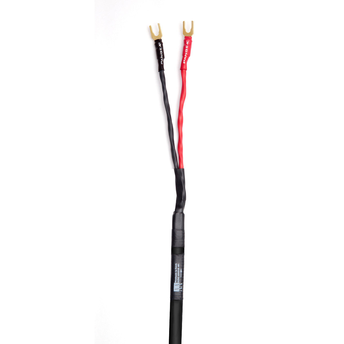 Audio Advisor
