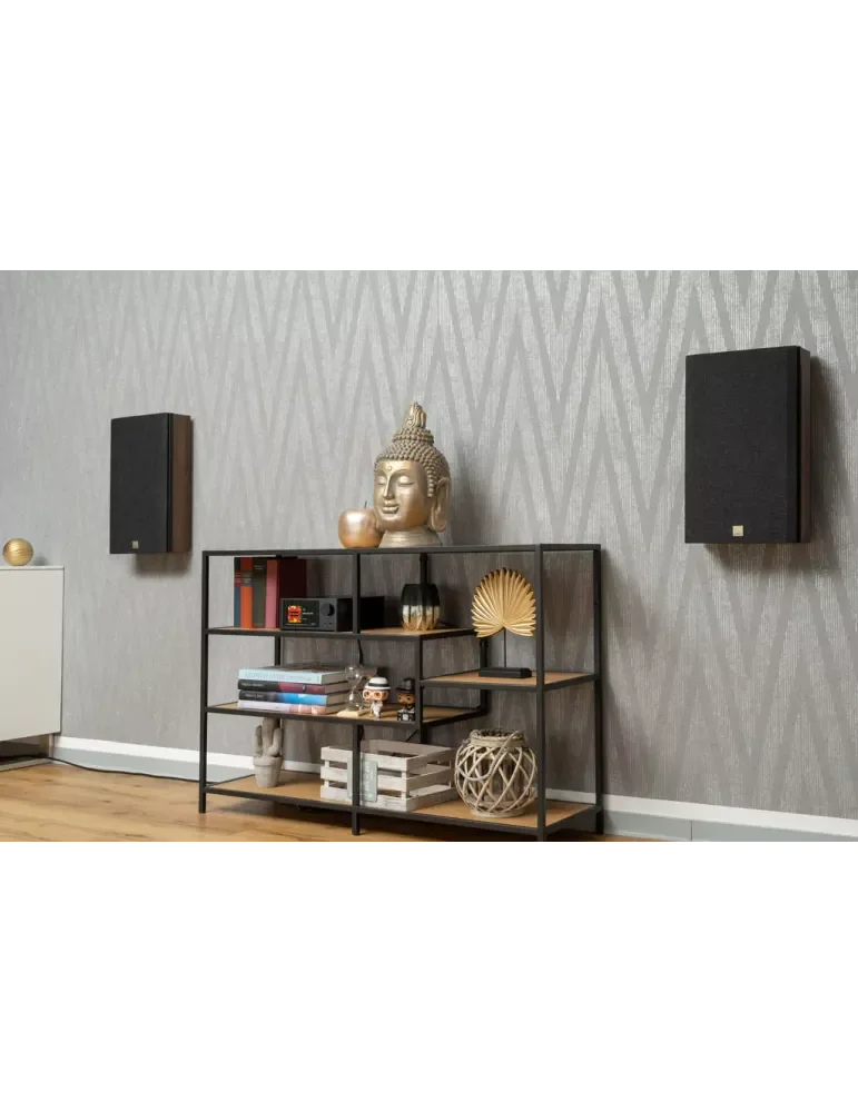 Audio Advisor