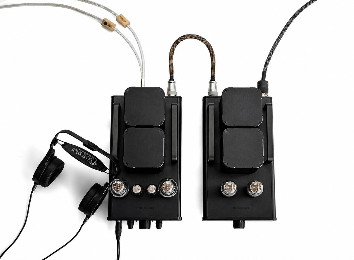 Audio Advisor