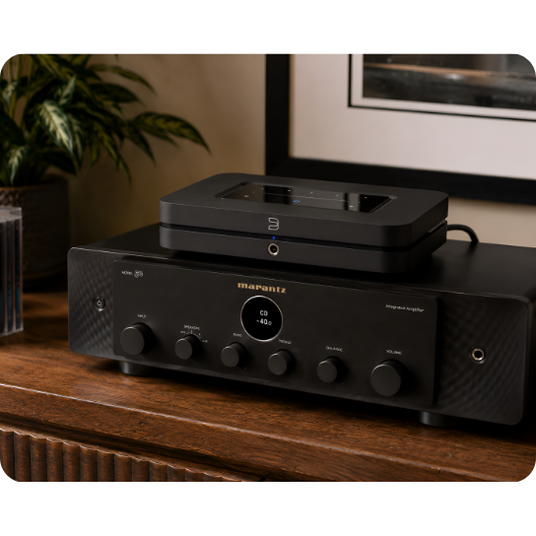 Audio Advisor