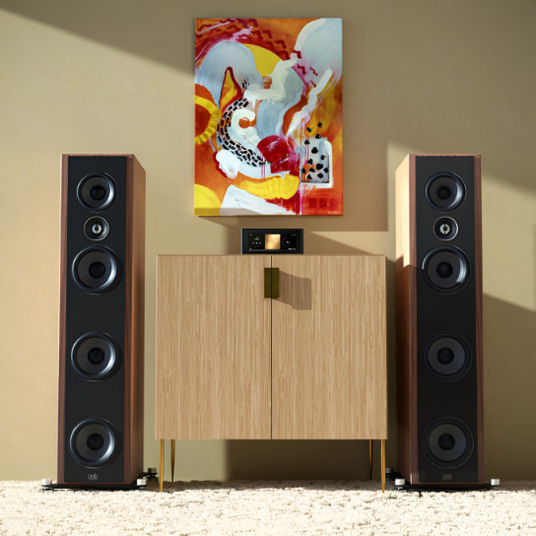 Audio Advisor