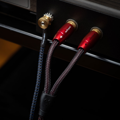 Audio Advisor