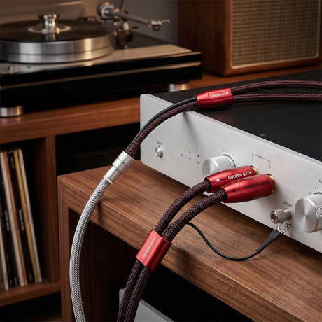 Audio Advisor