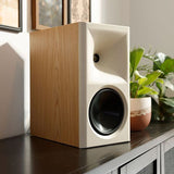 Audio Advisor