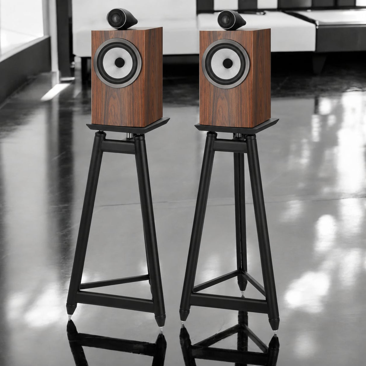 Audio Advisor