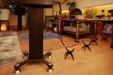 Audio Advisor