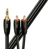 Audio Advisor