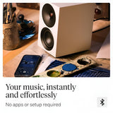 Audio Advisor