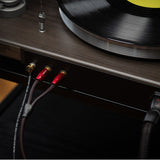 Audio Advisor