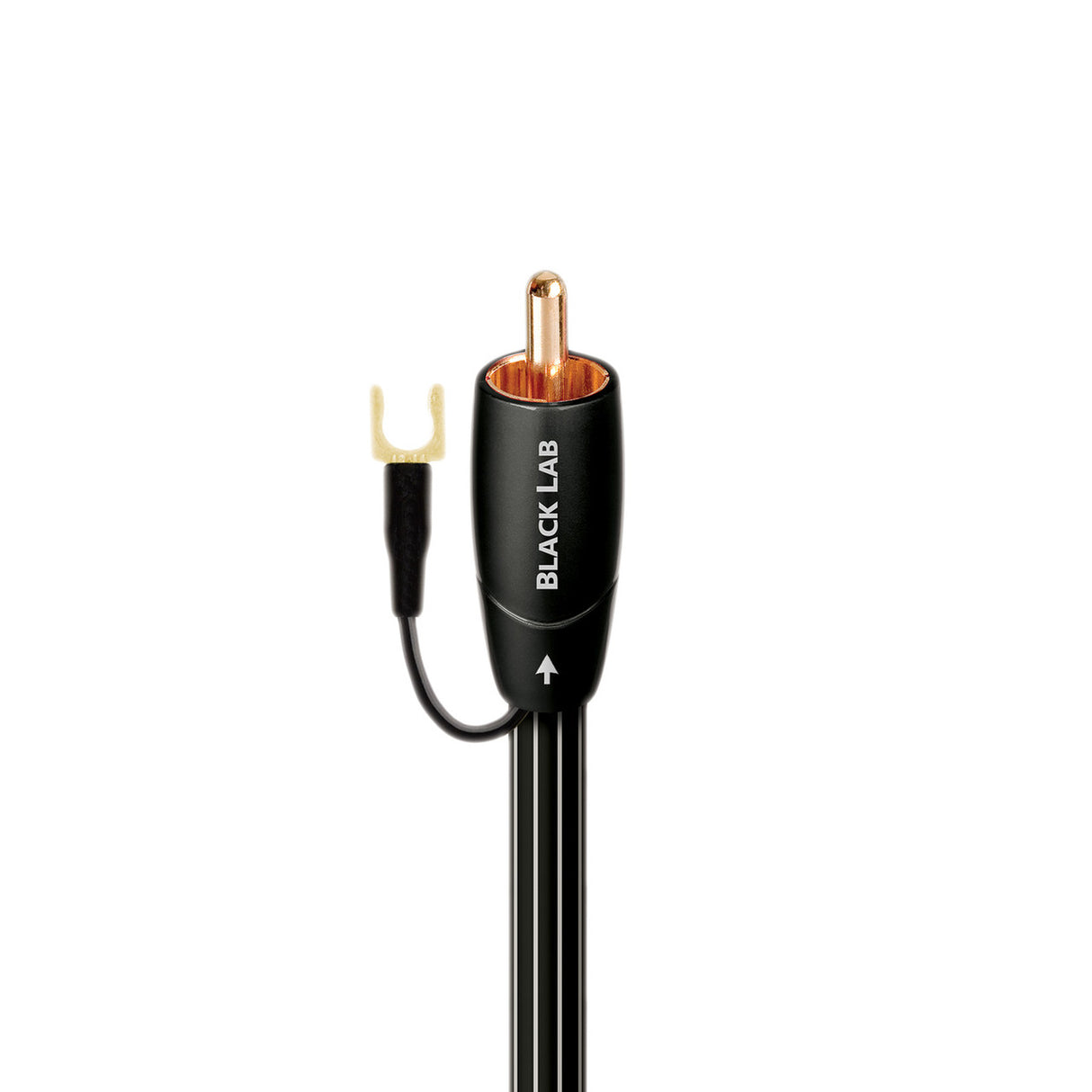 Audio Advisor